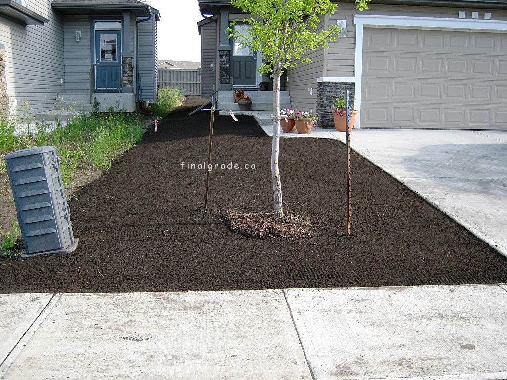 Just graded topsoil