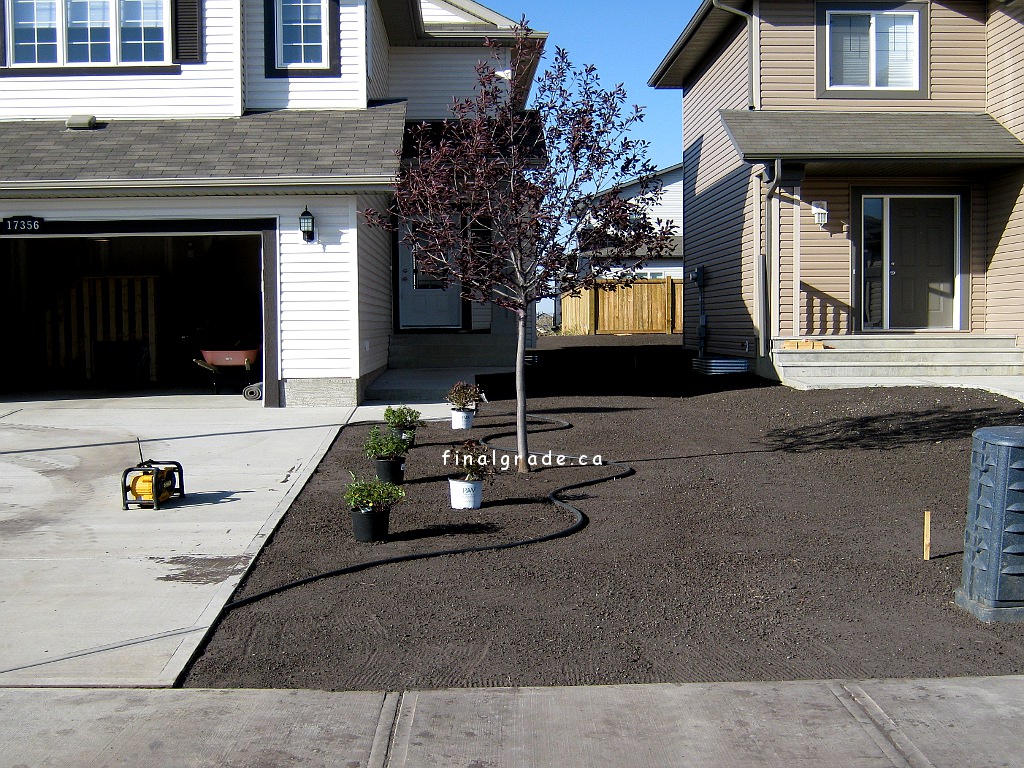 Just graded topsoil