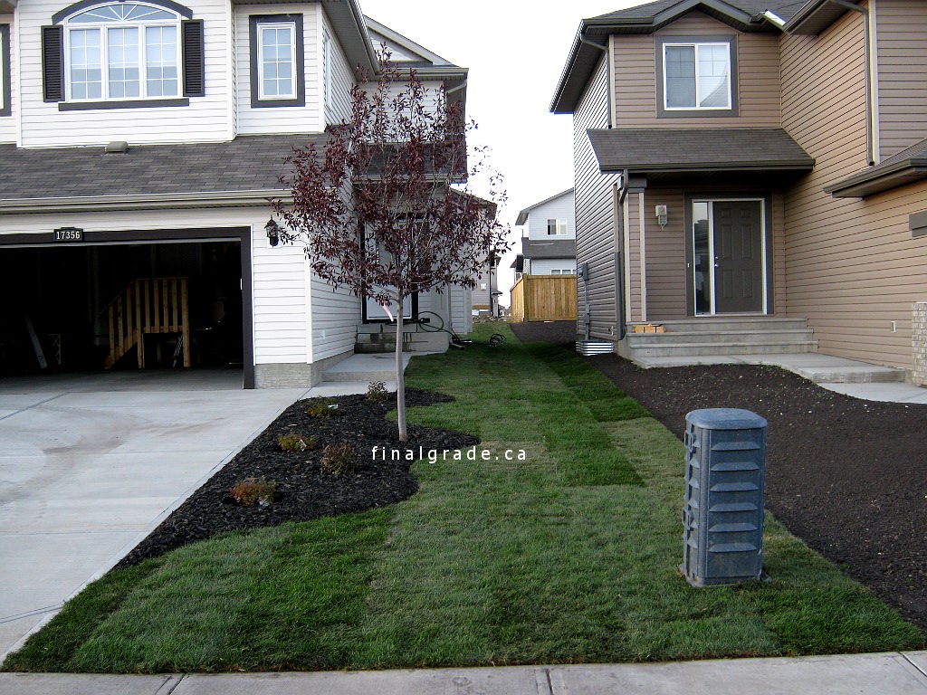 Just graded topsoil