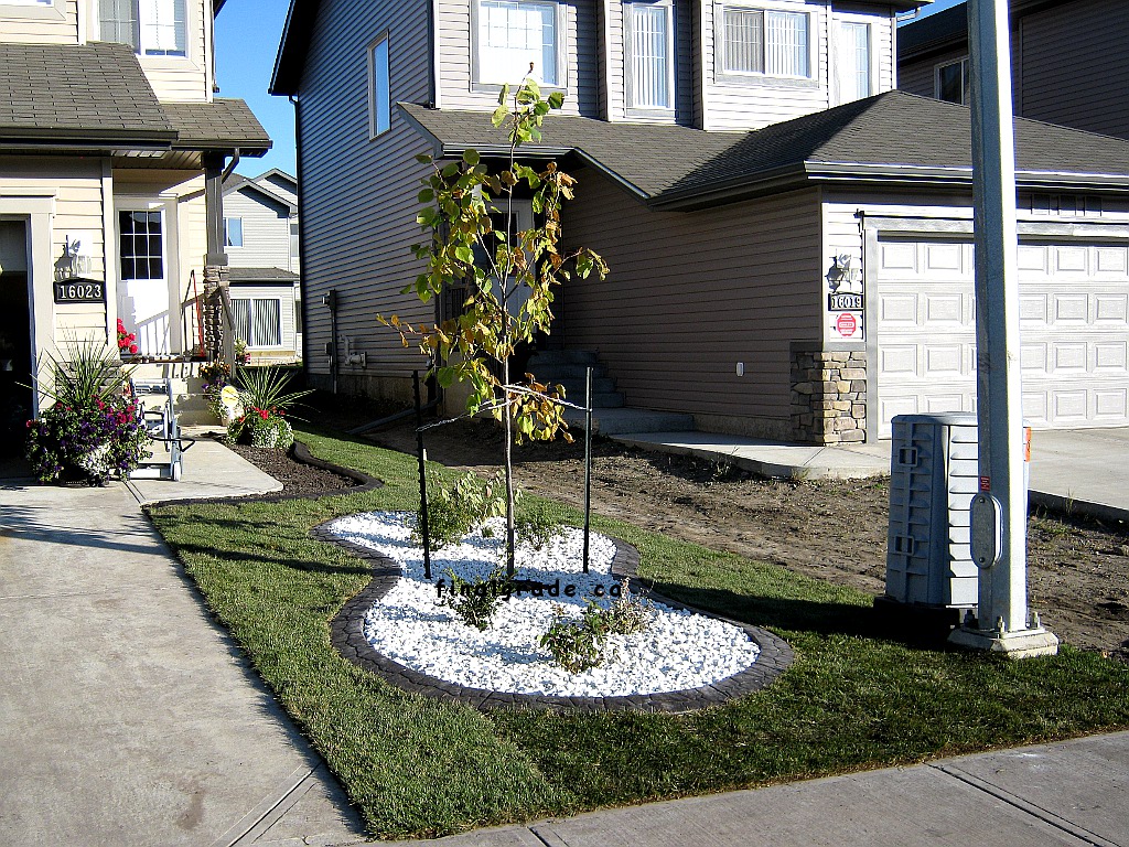Just graded topsoil