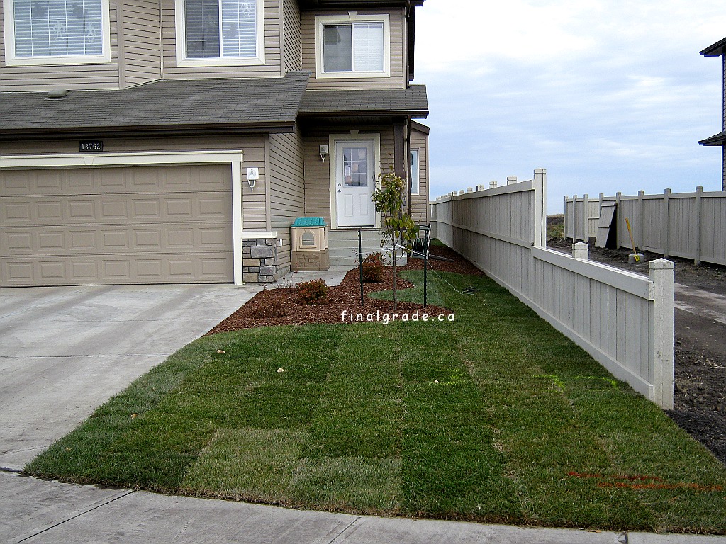 Just graded topsoil